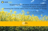 Supercluster: Protein Industries Canada Canola …...protein meals. • Plant derivatives for pet foods are projected to grow at 4.8% CAGR to 2020 from 2015 levels. The key global