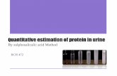 Quantitative estimation of protein in urinefac.ksu.edu.sa/sites/default/files/lab3_5.pdf · Proteinuria: • Protein in normal urine should be less than 150 mg/L • Proteinuria is