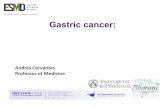 Andrés Cervantes Professor of Medicine · Adenocarcinoma of the stomach or lower third of the oesophagus (from 1999), suitable for curative resection Non-metastatic disease Stage