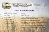 @wildhivefarm Wild Hive BiscuitsWild Hive Biscuits Wild Hive Farm is dedicated to providing you with the freshest and most nutritious wholegrain products. We showcase locally grown
