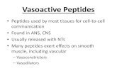 Vasoactive Peptides - BioJuncture · Vasoactive Peptides • Peptides used by most tissues for cell-to-cell communication • Found in ANS, CNS • Usually released with NTs • Many
