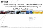 Understanding Free and Complexed Enzyme Mechanisms and ...Understanding Free and Complexed Enzyme Mechanisms and Factors Contributing to Cell Wall Recalcitrance (Presentation), NREL