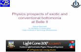 Physics prospects of exotic and conventional bottomonia at ... · physics harvest in just one decade, namely CKM matrix elements, unitary triangle parameters, charm mixing, ﬁrst