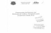 Calkinítransparencia.calkini.gob.mx/obligaciones/7/Presupuesto de Egreso… · Created Date: 2/7/2019 3:19:01 PM