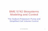 BME 5742 Biosystems Modeling and Controlfaculty.eng.fau.edu/rothz/files/2018/08/BME_5742... · Sodium-Potassium Pump • The usual facilitated diffusion of molecules is in the energetically