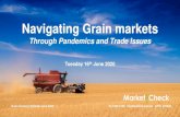 Navigating Grain markets...Grain Growers Webinar June 2020 02 9499 4199 | marketcheck.com.au | AFSL 223688 Navigating Grain markets Through Pandemics and Trade Issues Tuesday 16th