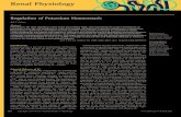 Regulation of Potassium Homeostasis - Loyola …...Regulation of Potassium Homeostasis Biff F. Palmer Abstract Potassium is the most abundant cation in the intracellular ﬂuid, and