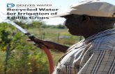 Recycled Water for Edible Crops in Colorado...Recycled Water for Irrigation of Edible Crops Page vi crops. Many people helped move the mission of this White Paper forward with their