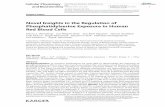 Novel Insights in the Regulation of Phosphatidylserine ...€¦ · Centre for Molecular Imaging and Screening, School of Medicine, Saarland University, Homburg, Germany; eExperimental