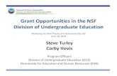 Grant Opportunities in the NSF Division of …...Division of Undergraduate Education (DUE) National Science Foundation Grant Opportunities in the NSF Division of Undergraduate Education