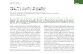 The Molecular Genetics of Crop Domestication › pdfs › Cell_2006.pdf · The Molecular Genetics of Crop Domestication John F. Doebley,1,* Brandon S. Gaut,2 and Bruce D. Smith3 ...