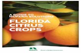 a Guide to Nufarm solutioNs florida citrus crops€¦ · a Guide to Nufarm solutioNs for florida citrus crops 2. To help you harvest the best, largest citrus crop, Nufarm offers a