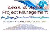 Lean & Agile - w.davidfrico.comw.davidfrico.com/rico13m.pdf · 2 DoDcontractor with 30+ years of IT experience B.S. Comp. Sci., M.S. Soft. Eng., & D.M. Info. Sys. Large gov’t projects