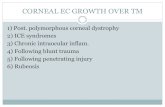 CORNEAL EC GROWTH OVER TM - Super Eye Care · CORNEAL EC GROWTH OVER TM 1) Post. polymorphous corneal dystrophy 2) ICE syndromes 3) Chronic intraocular inflam. 4) Following blunt