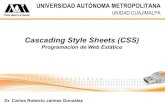 Cascading Style Sheets (CSS)ccd.cua.uam.mx/.../semana06_CSS/WebEstatico_06_CSS.pdf · Introducción CSS: Cascading Style Sheets Hojas de estilo en cascada Los estilos definen cómo