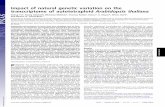 Impact of natural genetic variation on the …Impact of natural genetic variation on the transcriptome of autotetraploid Arabidopsis thaliana Zheng Yua, Georg Habererb, Michaela Matthesa,