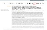 Exploiting sorghum genetic diversity for enhanced aluminum ...ainfo.cnptia.embrapa.br/digital/bitstream/item/180151/1/Exploiting-sorghum.pdfThe eciency of allele mining in recovering