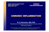 CHRONIC INFLAMMATIONpatfyz.medic.upjs.sk/estudmat/Benacka - Chronic... · Diseases based on the chronic inflammation Lupoid (autoimune) hepatitis Chronic active hepatitis Chronic