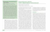 Zoonotic viruses – the permanent threat to Zoonotyczne ... 2013-03 02.pdf · może mieć miejsce wymiana części seg-mentów genomu obu wirusów i w efekcie powstaje nowy szczep