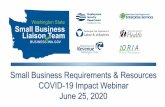 Small Business Requirements & Resources COVID-19 Impact ... › Portals › _business... · How Important is Small Business? Employ Formed Under-developed Going Concerns Self Employed