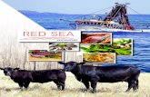 ENTREE - irp-cdn.multiscreensite.com · Red Sea Fish of the Day Served with Salad, Chips & Tartare Sauce $18.00 Chicken Caesar Salad Chicken Breast, Bacon, Poached Egg, Olive Oil,