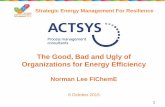 The Good, Bad and Ugly of Organizations for Energy Efficiency 2015... · 2018-10-02 · The Good, Bad and Ugly of Organizations for Energy Efficiency Norman Lee FIChemE 6 October