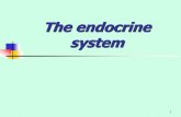 The endocrine systemphysiology.nuph.edu.ua/.../2018/01/Endocrine-system.pdfThe endocrine system uses cycles and negative feedback to regulate physiological functions. Negative feedback