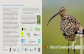Themes from Birds of Conservation Concern 4 · c Birds of Conservation Concern 4 has placed more species onto the Red list than ever before. c Three species have moved to the list