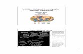 OCN621: Biological Oceanography- Sediment Microbiology · OCN621: Biological Oceanography-Sediment Microbiology Guangyi Wang POST 103B guangyi@hawaii.edu Three Domains of Life Slide