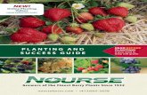 PLANTING AND READ PLANTING! BEFORE SUCCESS GUIDE If …noursefarms.com/resources/pdfs/planting guide.pdf · 2016-07-11 · Natural Spring rains are great for helping to get your plants