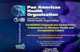 PAHO/WHO Regional and Global Policy Frameworks on Workers ... › hq › dmdocuments › 2009 › Occupational-can… · PAHO/WHO Regional and Global Policy Frameworks on Workers’