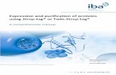 Expression and purification of proteins using Strep-tag® or Twin … · 2014-07-18 · 1 Introduction, continued Expression and purification of proteins using Strep-tag® or Twin-Strep-tag®
