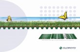CREATING EFFECTIVE DRAINAGE FOR GREEN AND TURF ROOFS · 2019-04-16 · CREATING EFFECTIVE DRAINAGE FOR GREEN AND TURF ROOFS Oldroyd Xv20 green is a membrane with 20mm deep studs speciﬁ