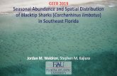 Seasonal abundance and spatial distribution of blacktip sharks ... · Seasonal Abundance and Spatial Distribution of Blacktip Sharks (Carcharhinus limbatus)in Southeast Florida Jordan