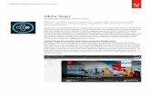 Adobe Target - Adobe: Creative, marketing and document ...€¦ · Adobe Target Mobile site and app optimization With more companies experiencing growth in mobile traffic, ... insights
