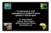 To intervene or not? Implications of models of ebola spread in African apes · Implications of models of ebola spread in African apes Dr. James Deutsch Director, Africa Program Wildlife