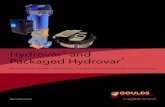 BRHYDROVAR R5 - Xylem Inc. · BRHYDROVAR R5 Hydrovar® and Packaged Hydrovar® MOTOR MOUNT VARIABLE SPEED PUMP CONTROLLER AND INTEGRATED PUMP PACKAGES