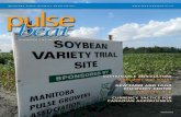 Fall/Winter • No. 67, 2012 › wp-content › uploads › ... · Fall/Winter • No. 67, 2012 Manitoba Pulse Growers Association SuStainable agriculture ... Morden Research Station