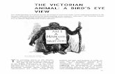 THE VICTORIAN ANIMAL: A BIRD’S EYE VIEW Our understanding ... › files › victorian-animal.pdf · museum taxidermy exhibits, but also due to the release in that year of Paul du