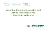 Local Biodiversity Strategies and Action Plans (LBSAPs) 2012/LBSAP... · 2012-05-23 · implemented if corresponding strategies and action plans are also developed and implemented