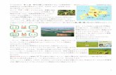 …漢字で - yoshiyoshiju.comyoshiyoshiju.com › 2020shou4shakai-jhou11kai-check.pdf · く強い風から作物 さくもつ を守るために、畑のまわり に林がつくられています。この林は(6…漢字で？林)といい、夏に発生する濃