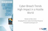 Cyber-Breach Trends High-Impact in a Hostile Worldweb.uslaw.org/wp-content/uploads/2015/02/15_USLAW... · Expected to evaluate cybersecurity risks ... Types of cyber insurance and