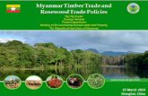 25 March 2014 Shanghai, China - Forest Trends · Myanmar Selection System - MSS. Pre-Hervest Inventory. Post-Hervest Inventory: Felling Cycle. 4: ... - Myanmar drafted : C&Is : for