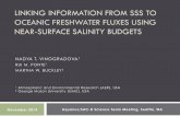 LINKING INFORMATION FROM SSS TO OCEANIC FRESHWATER … · LINKING INFORMATION FROM SSS TO OCEANIC FRESHWATER FLUXES USING NEAR-SURFACE SALINITY BUDGETS NADYA T. VINOGRADOVA1 RUI M.