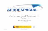 Presentación de PowerPoint › wp-content › ... · July 2017 PAE-ATX-REP-01/03 3 This report summarizes the PAE’s proposed taxonomy for Aeronautical (Aeronautics + Aviation in