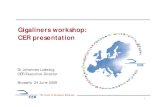 Gigaliners workshop: CER presentation › ... › doc › 2009_06_24 › 2009_gigaliners_worksh… · CER presentation Dr Johannes Ludewig, CER Executive Director Brussels, 24 June