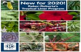 Newfor2020!raker.com/doc/2020.r2.tropical.program.pdfwith tropicals! R2 tropical liners are selected and timed to grow with your 4" annual crops. Mandevilla Dundee Red 18 strip Price