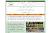 Hidden Ponderings · Putting your lawn to bed Prepping your lawn for winter Clemson advise on winterizing grass Holiday Tablescapes from Hidden Ponds Workshop Series Just in time