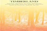 TIMBERLAND - Olmes Carretti · 2015-01-08 · Timberland boots, Armani jeans and Moncler jackets to an upbeat and exhilarating soundtrack of British synth-pop music and the revving