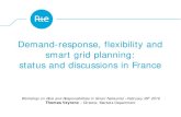 Demand-response, flexibility and smart grid planning Demand-response, flexibility and smart grid planning:
